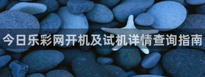 今日乐彩网开机及试机详情查询指南