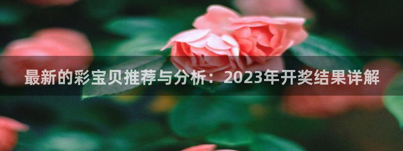 赢乐彩票3平台登录注册：最新的彩宝贝推荐与分析：2023年开奖结果详解