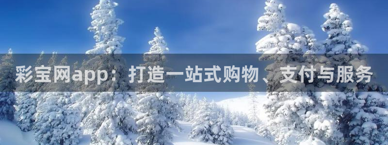 上海赢乐彩票汽车电子有限公司：彩宝网app：打造一站式购物、支付与服务
