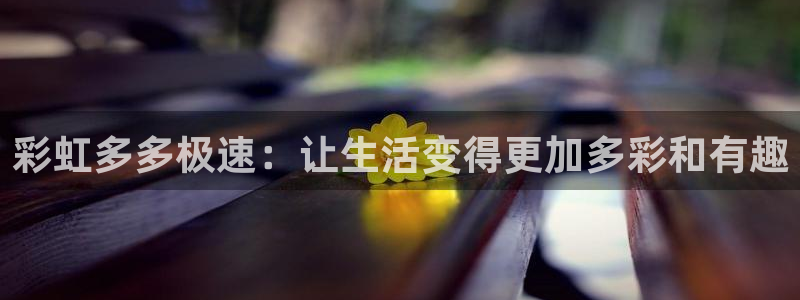 赢乐彩票平台招商：彩虹多多极速：让生活变得更加多彩和有趣